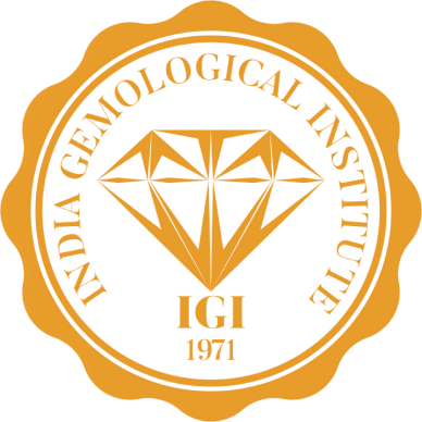 igi Logo